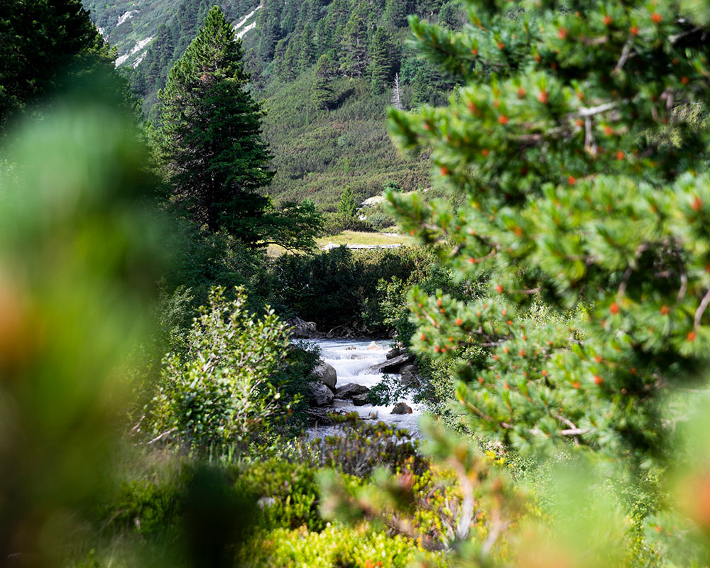 Naturparkwanderung Foto W9studios (12).jpg