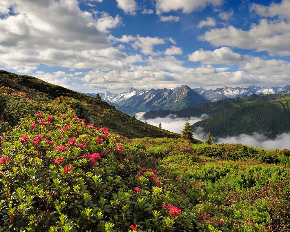 Paul Sürth Standardformat (28) Groß.jpg